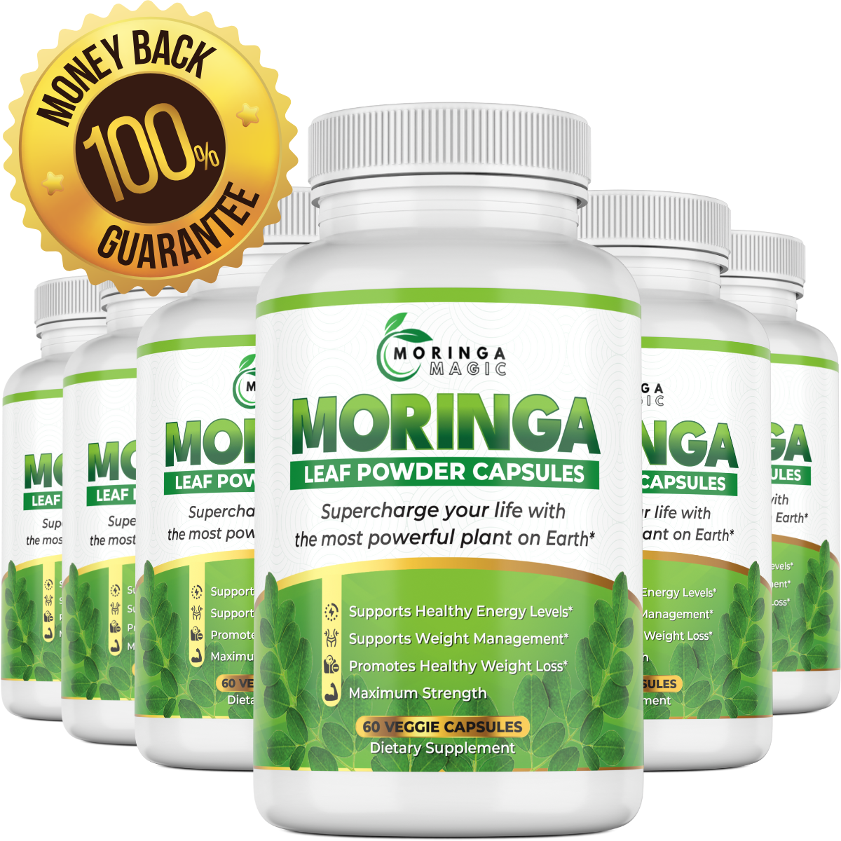 Fresh Moringa Leaves - Natural Superfood